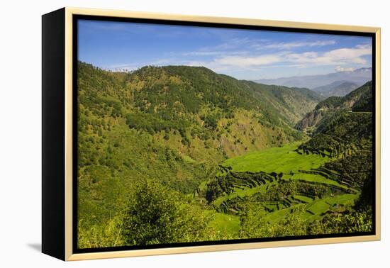 Rice Terraces from Bontoc to Banaue, Luzon, Philippines-Michael Runkel-Framed Premier Image Canvas