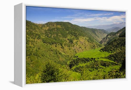 Rice Terraces from Bontoc to Banaue, Luzon, Philippines-Michael Runkel-Framed Premier Image Canvas