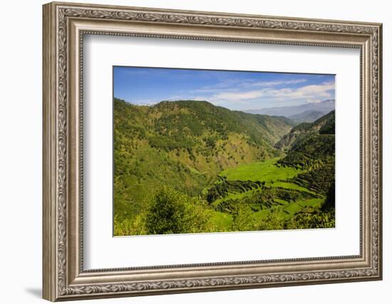 Rice Terraces from Bontoc to Banaue, Luzon, Philippines-Michael Runkel-Framed Photographic Print