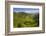 Rice Terraces from Bontoc to Banaue, Luzon, Philippines-Michael Runkel-Framed Photographic Print