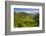 Rice Terraces from Bontoc to Banaue, Luzon, Philippines-Michael Runkel-Framed Photographic Print