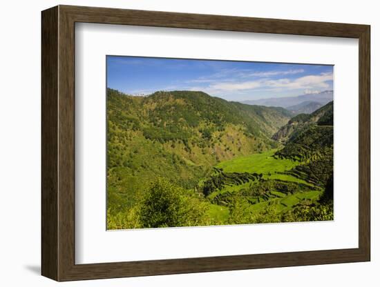 Rice Terraces from Bontoc to Banaue, Luzon, Philippines-Michael Runkel-Framed Photographic Print