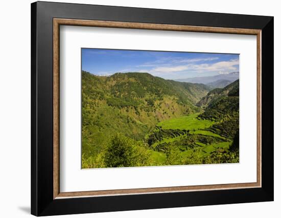 Rice Terraces from Bontoc to Banaue, Luzon, Philippines-Michael Runkel-Framed Photographic Print