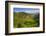 Rice Terraces from Bontoc to Banaue, Luzon, Philippines-Michael Runkel-Framed Photographic Print