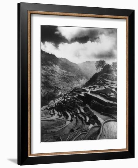 Rice Terraces in the Philippines Photograph - Philippines-Lantern Press-Framed Art Print