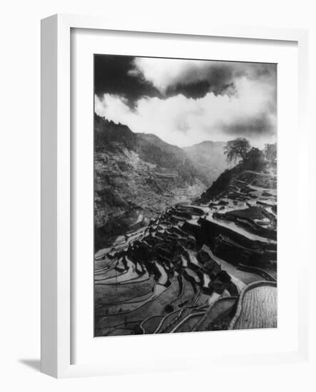 Rice Terraces in the Philippines Photograph - Philippines-Lantern Press-Framed Art Print