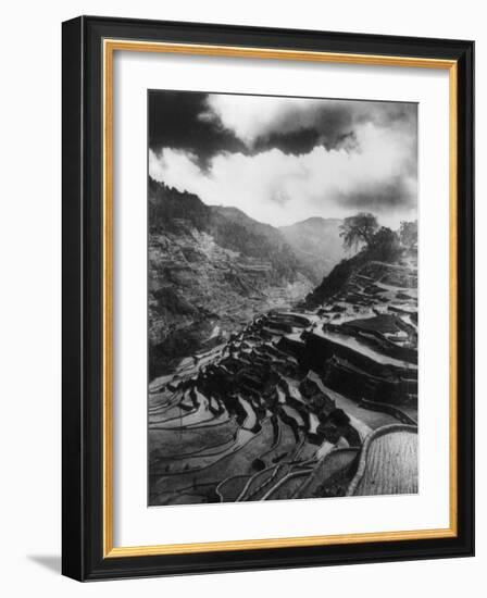 Rice Terraces in the Philippines Photograph - Philippines-Lantern Press-Framed Art Print