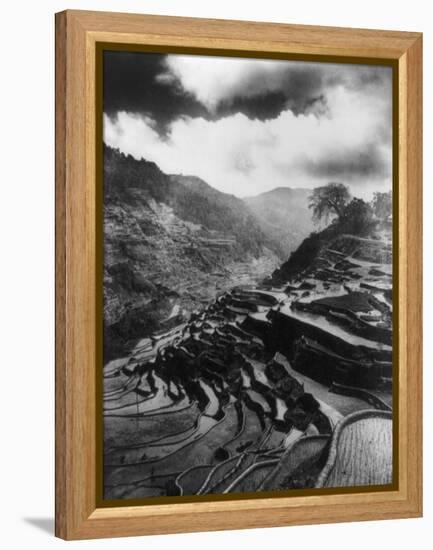 Rice Terraces in the Philippines Photograph - Philippines-Lantern Press-Framed Stretched Canvas