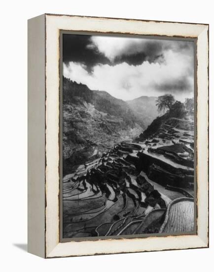 Rice Terraces in the Philippines Photograph - Philippines-Lantern Press-Framed Stretched Canvas