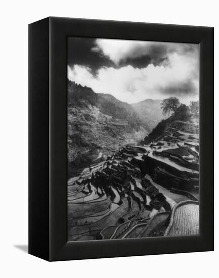 Rice Terraces in the Philippines Photograph - Philippines-Lantern Press-Framed Stretched Canvas