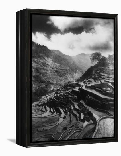 Rice Terraces in the Philippines Photograph - Philippines-Lantern Press-Framed Stretched Canvas