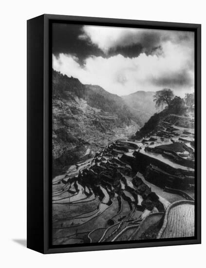 Rice Terraces in the Philippines Photograph - Philippines-Lantern Press-Framed Stretched Canvas