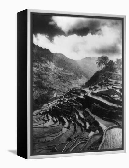 Rice Terraces in the Philippines Photograph - Philippines-Lantern Press-Framed Stretched Canvas