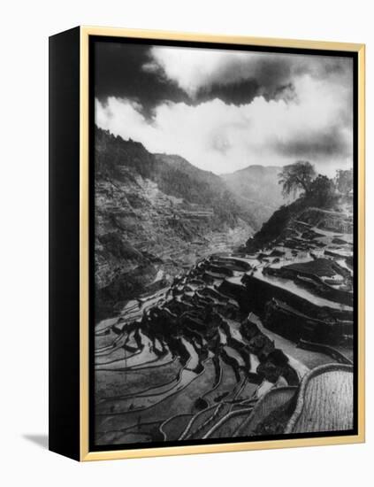 Rice Terraces in the Philippines Photograph - Philippines-Lantern Press-Framed Stretched Canvas