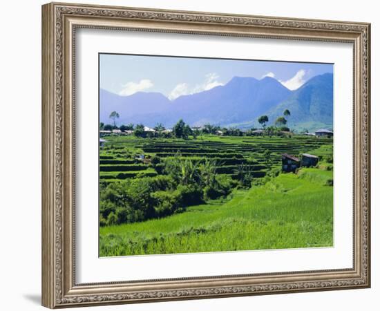 Rice Terraces in the Rice and Coffee Growing Heart of Western Flores, Ruteng, Flores, Indonesia-Robert Francis-Framed Photographic Print