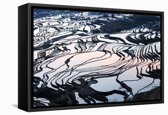 Rice Terraces in Yuanyang, Yunnan, China-Nadia Isakova-Framed Premier Image Canvas