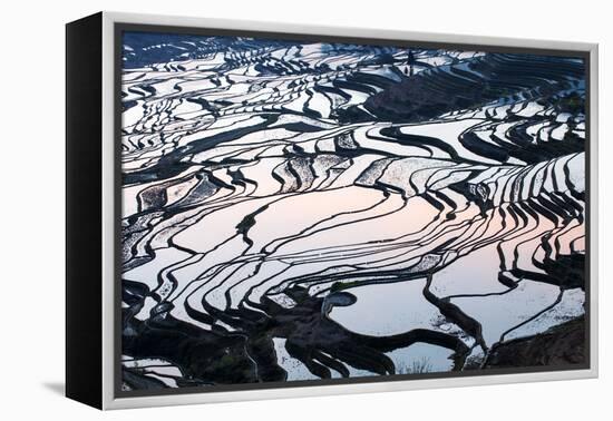 Rice Terraces in Yuanyang, Yunnan, China-Nadia Isakova-Framed Premier Image Canvas