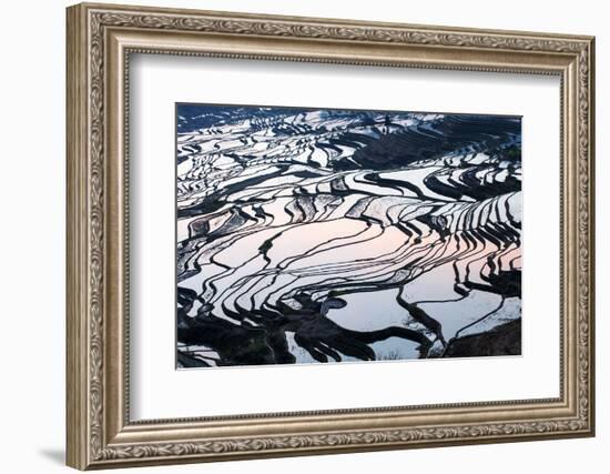 Rice Terraces in Yuanyang, Yunnan, China-Nadia Isakova-Framed Photographic Print