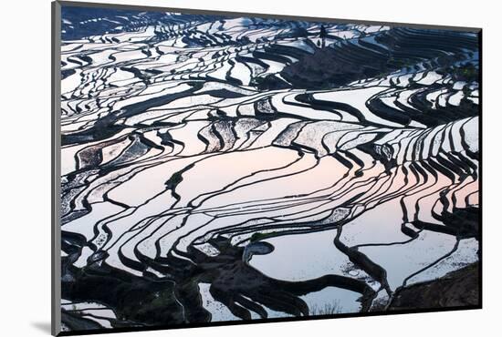 Rice Terraces in Yuanyang, Yunnan, China-Nadia Isakova-Mounted Photographic Print