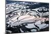 Rice Terraces in Yuanyang, Yunnan, China-Nadia Isakova-Mounted Photographic Print