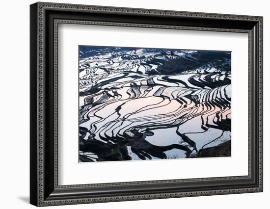 Rice Terraces in Yuanyang, Yunnan, China-Nadia Isakova-Framed Photographic Print