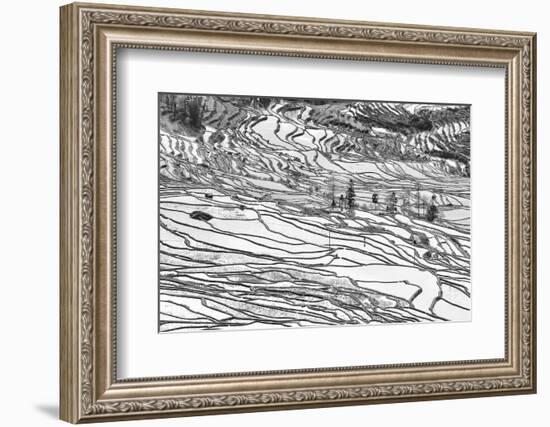 Rice Terraces in Yuanyang, Yunnan, China-Nadia Isakova-Framed Photographic Print