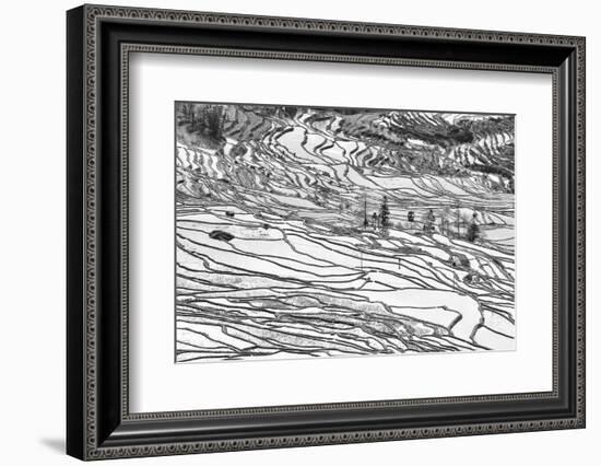 Rice Terraces in Yuanyang, Yunnan, China-Nadia Isakova-Framed Photographic Print