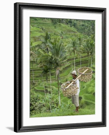 Rice Terraces Near Tegallalang Village, Bali, Indonesia, Southeast Asia, Asia-Richard Maschmeyer-Framed Photographic Print