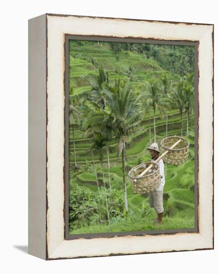 Rice Terraces Near Tegallalang Village, Bali, Indonesia, Southeast Asia, Asia-Richard Maschmeyer-Framed Premier Image Canvas