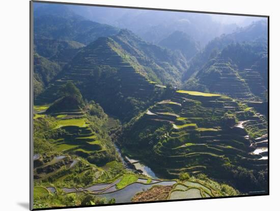 Rice Terraces of Banaue, Luzon Island, Philippines-Michele Falzone-Mounted Photographic Print