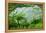 Rice Terraces of Banaue, Northern Luzon, Philippines-Michael Runkel-Framed Premier Image Canvas