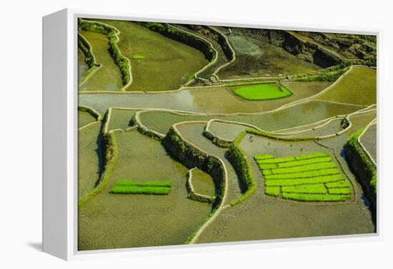 Rice Terraces of Banaue, Northern Luzon, Philippines-Michael Runkel-Framed Premier Image Canvas