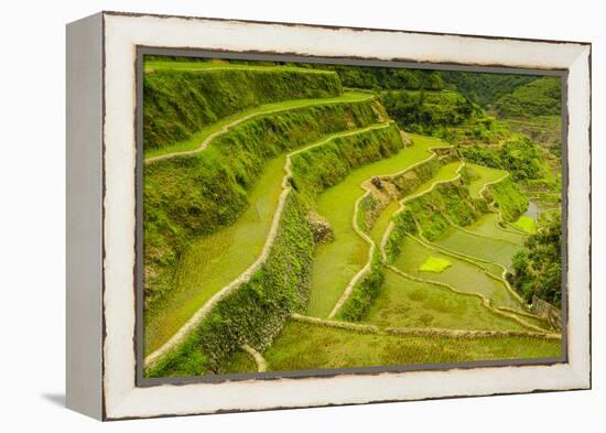 Rice Terraces of Banaue, Northern Luzon, Philippines-Michael Runkel-Framed Premier Image Canvas