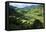 Rice Terraces of Banaue, Northern Luzon, Philippines-Michael Runkel-Framed Premier Image Canvas