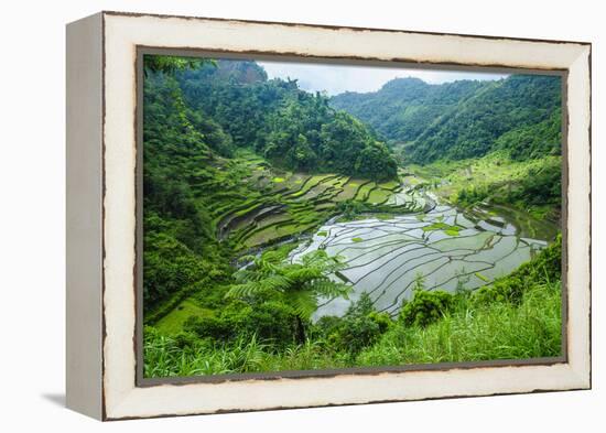 Rice Terraces of Banaue, Northern Luzon, Philippines-Michael Runkel-Framed Premier Image Canvas