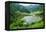 Rice Terraces of Banaue, Northern Luzon, Philippines-Michael Runkel-Framed Premier Image Canvas