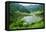 Rice Terraces of Banaue, Northern Luzon, Philippines-Michael Runkel-Framed Premier Image Canvas