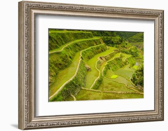 Rice Terraces of Banaue, Northern Luzon, Philippines-Michael Runkel-Framed Photographic Print