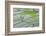 Rice Terraces of Banaue, Northern Luzon, Philippines-Michael Runkel-Framed Photographic Print