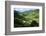 Rice Terraces of Banaue, Northern Luzon, Philippines-Michael Runkel-Framed Photographic Print