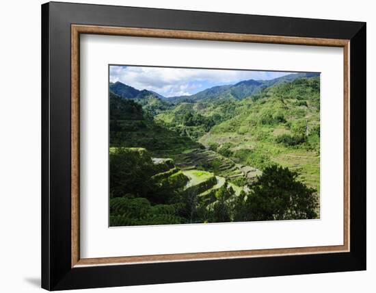 Rice Terraces of Banaue, Northern Luzon, Philippines-Michael Runkel-Framed Photographic Print