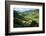 Rice Terraces of Banaue, Northern Luzon, Philippines-Michael Runkel-Framed Photographic Print