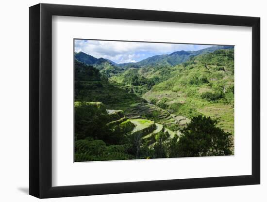 Rice Terraces of Banaue, Northern Luzon, Philippines-Michael Runkel-Framed Photographic Print