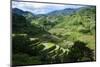 Rice Terraces of Banaue, Northern Luzon, Philippines-Michael Runkel-Mounted Photographic Print