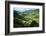 Rice Terraces of Banaue, Northern Luzon, Philippines-Michael Runkel-Framed Photographic Print