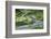 Rice Terraces of Banaue, Northern Luzon, Philippines-Michael Runkel-Framed Photographic Print