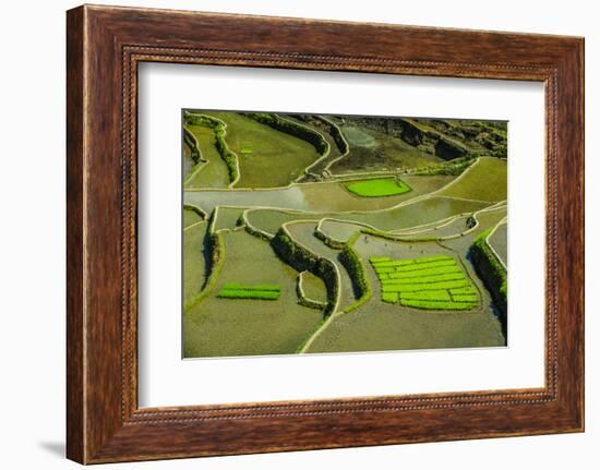 Rice Terraces of Banaue, Northern Luzon, Philippines-Michael Runkel-Framed Photographic Print