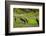 Rice Terraces of Banaue, Northern Luzon, Philippines-Michael Runkel-Framed Photographic Print