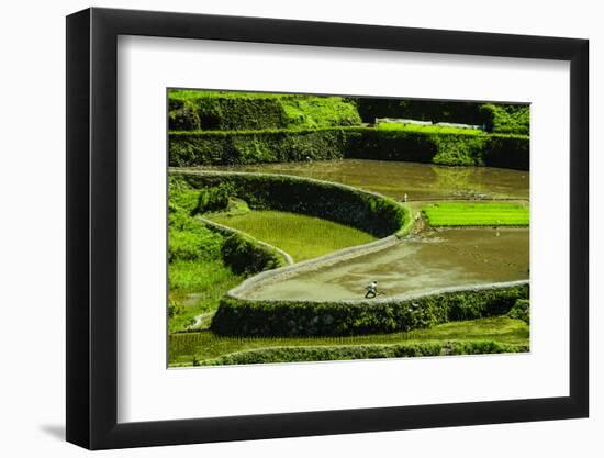 Rice Terraces of Banaue, Northern Luzon, Philippines-Michael Runkel-Framed Photographic Print