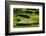 Rice Terraces of Banaue, Northern Luzon, Philippines-Michael Runkel-Framed Photographic Print